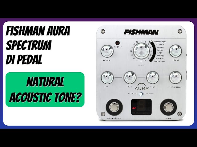 REVIEW (2026): Fishman Aura Spectrum DI Pedal. Features - YouTube