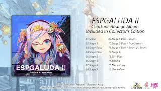 Nintendo Switch™ 『エスプガルーダII』北米向けにパッケージ版が2022