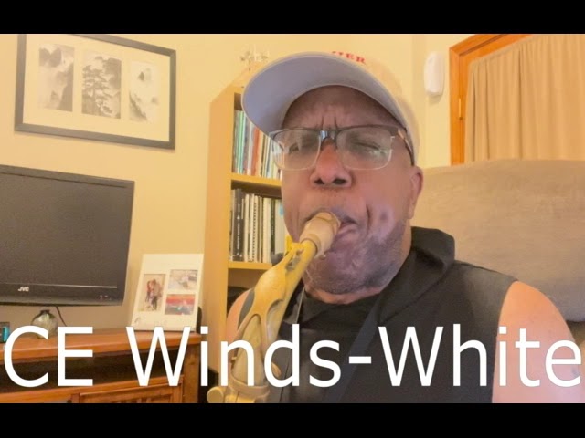 DEMO: 1 Jumbo Java A55, 2 Jumbo Java A45, 4 CE Winds A45 Copies