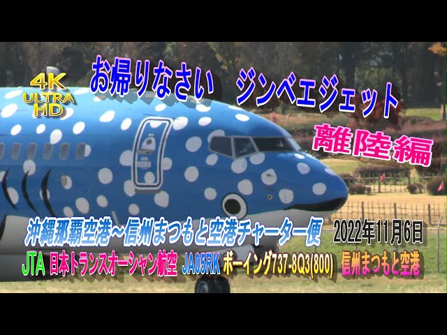 4K ULTRAHD JA05RK JTA 日本トランスオーシャン航空 ジンベエジェット