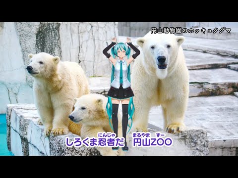 しろくま忍者の手あらいソング～初音ミクバージョン～ - YouTube