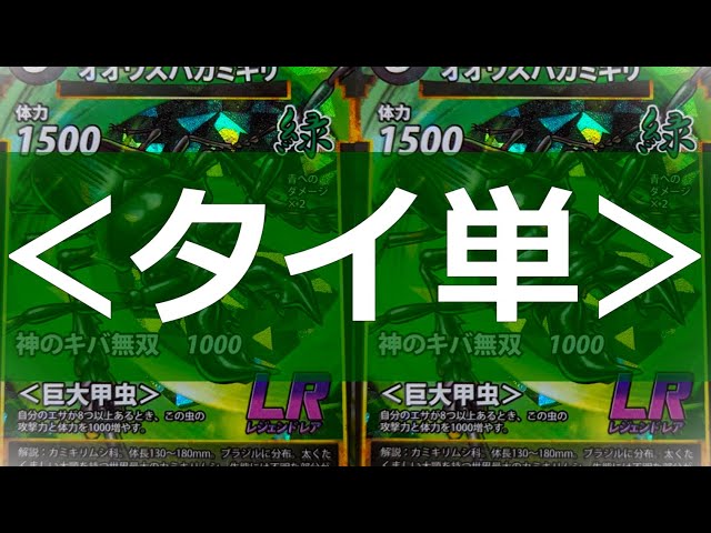 蟲神器】虫が○枚⁉＜タイ単＞【#蟲和陣伝 739】 - YouTube