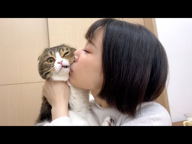 酔っぱらいのママに猫吸いされた親子猫w - YouTube