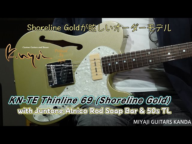 K Nyui Custom Guitar KN TE Thinline 69 Shoreline Gold ＊こちらの