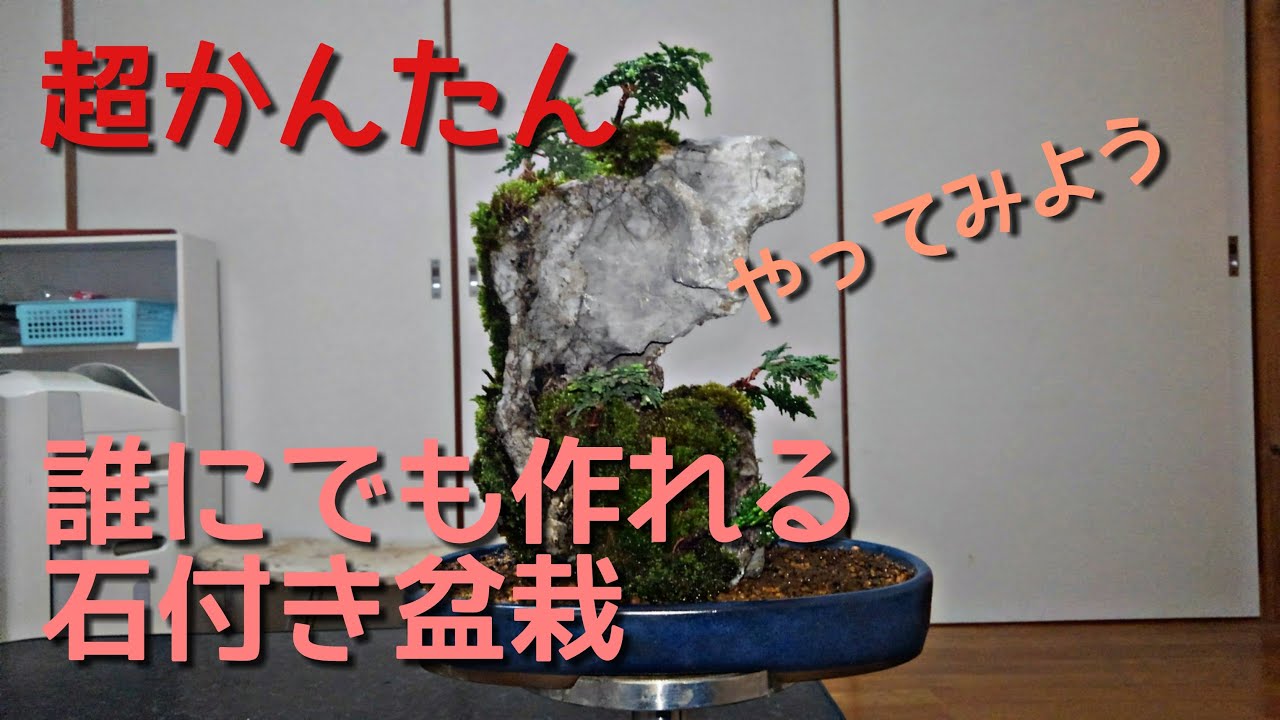 石付き盆栽 超かんたんで誰にでも作れます - YouTube