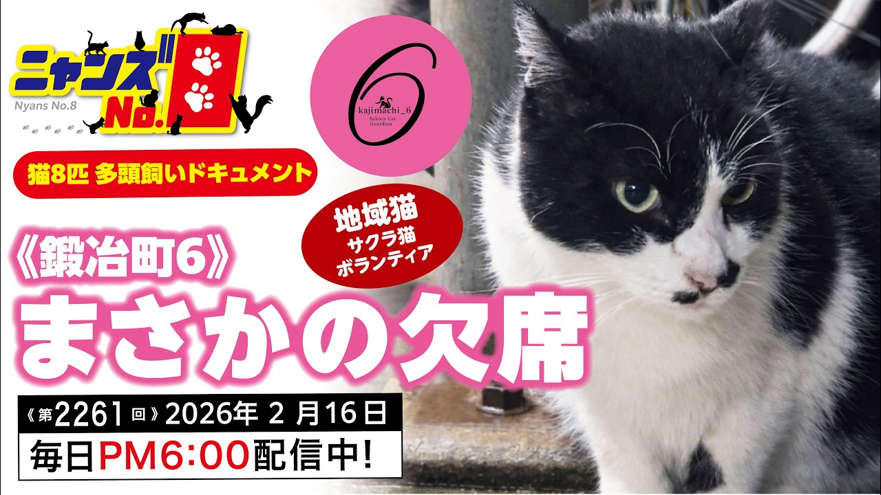 No. 2261》《Kajimachi 6》Unexpected absence - YouTube