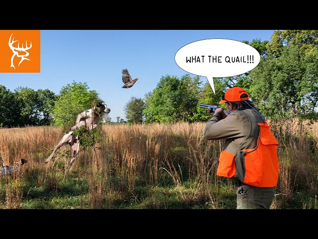 sddefault.jpg?v=64396bd9