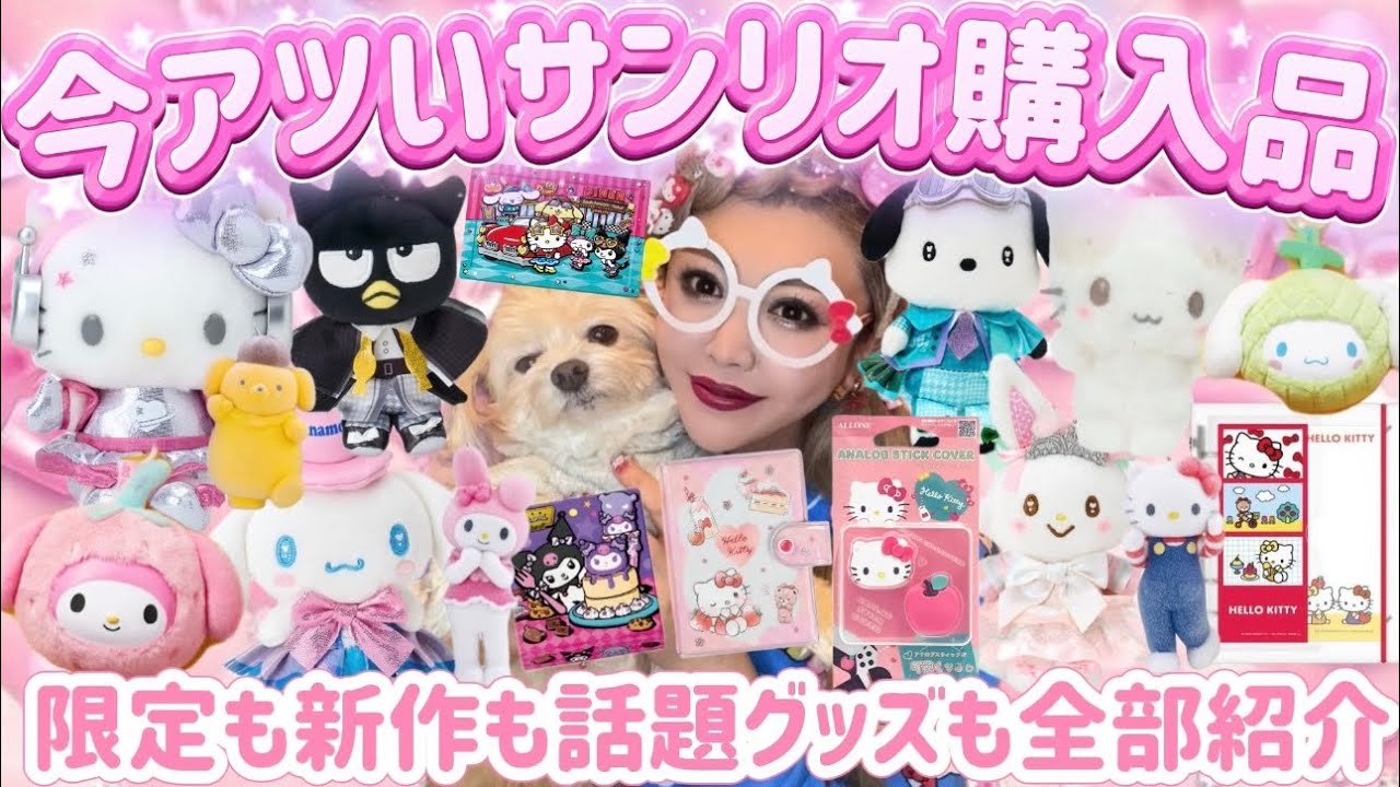 Buying spree] Introducing our Sanrio merchandise purchases