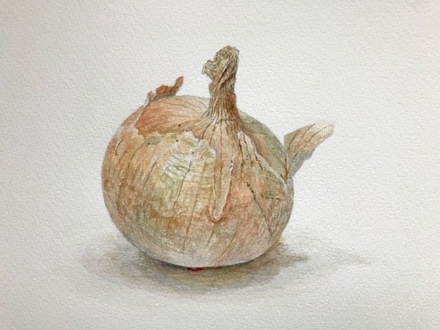 初心者デッサン講座 水彩編 1/2 「玉ねぎ」 - YouTube