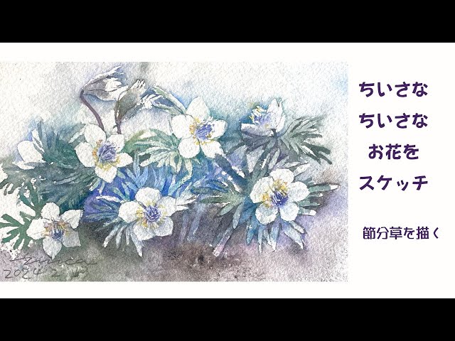 Sketching tiny flowers - Drawing Setsubun grass - YouTube
