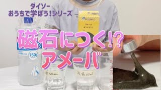 生きてるみたい！ 磁石で動くアメーバ ダイソー 自由研究 - YouTube