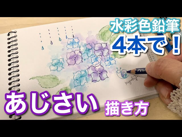 水彩色鉛筆】簡単なあじさいの描き方 - YouTube