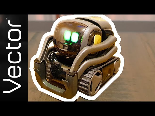 How to SetUp & Pair Vector Robot! - YouTube