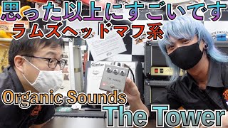 Organic Soundsがついに発表したラムズ系ファズ、The Towerが凄すぎた