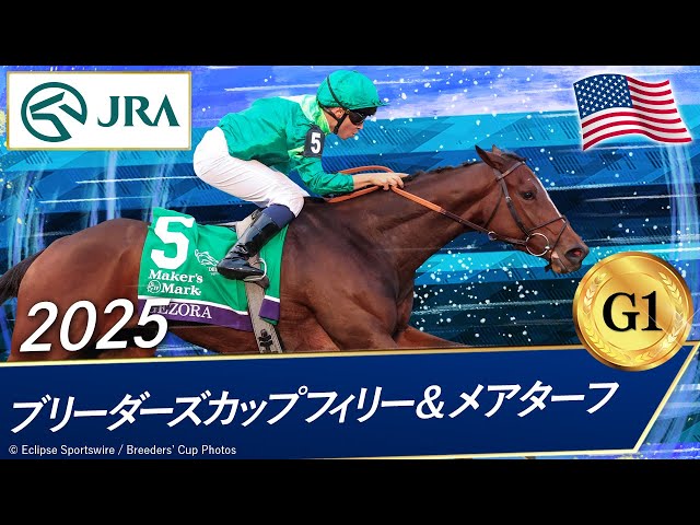 2025 Breeders' Cup Filly & Mare Turf (G1) | Gezora | JRA Official