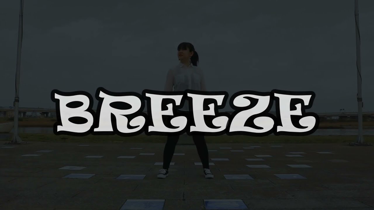 10年振りに踊ってみた】 BREEZE【あきら様】 - YouTube