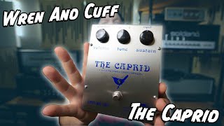 RIFF BOX! Wren And Cuff The Caprid Fuzz! - YouTube