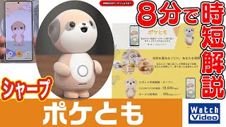 Sharp Poke Tomo [Let's Play with Takeyuki Horin's Mobile!! / 840