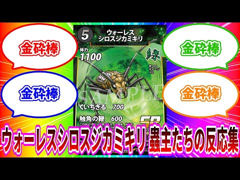 InsectSacredTreasure] 7th release preview ④ Wallace's White