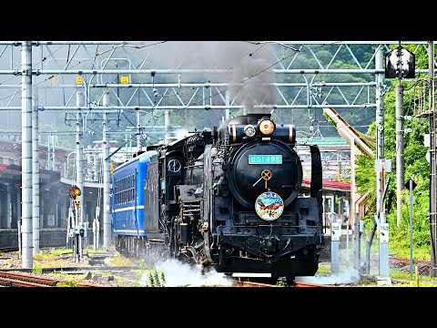 D51 498】SLぐんまみなかみ号【水色プレート】2023年盛夏 4K 20230715