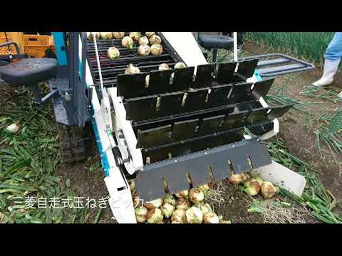 自走式玉ねぎピッカーMOP-1000【玉ねぎ管理作業】 - YouTube