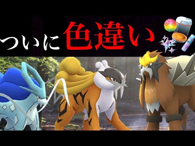 ポケモンGO】待望の三犬の色違い実装！スイクン・ライコウ・エンテイの