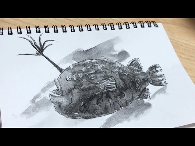 ペンと水彩色鉛筆で描く簡単なチョウチンアンコウの絵の描き方 - YouTube