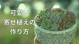 612 [Just this] Just line them up and you'll see how cute they are