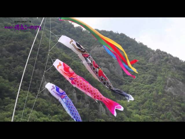 徳永こいのぼりの動画『金太郎ゴールド鯉』 - YouTube