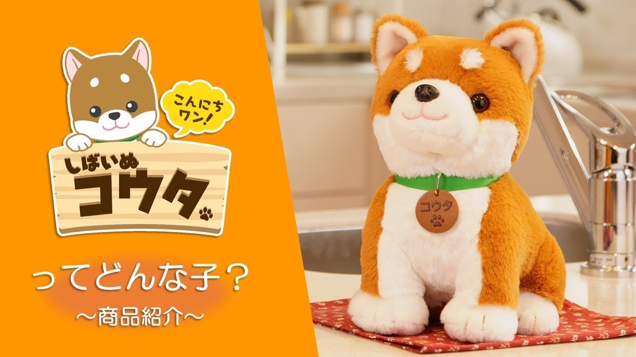 こんにちワン！しばいぬコウタ」紹介ムービー - YouTube