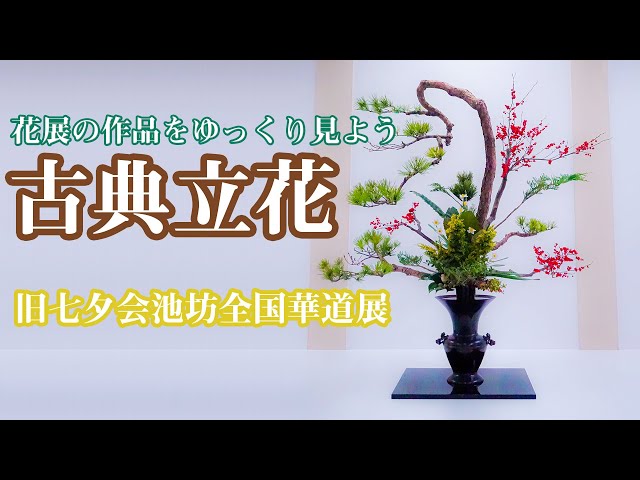 花展に行こう】旧七夕会池坊全国華道展 立花正風体 古典立花 谷渡真