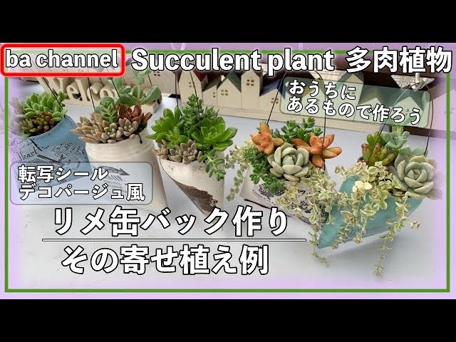 225{多肉植物} リメ缶バッグ👜作ってみた💓寄せ植え例Succulent - YouTube