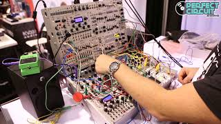 Intellijel Morgasmatron - Eurorack Module on ModularGrid