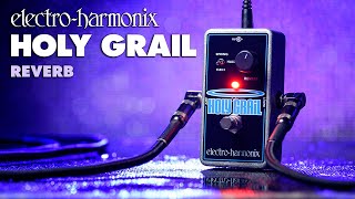 Electro-Harmonix Holy Grail Reverb Pedal (EHX Demo by TOM BURDA