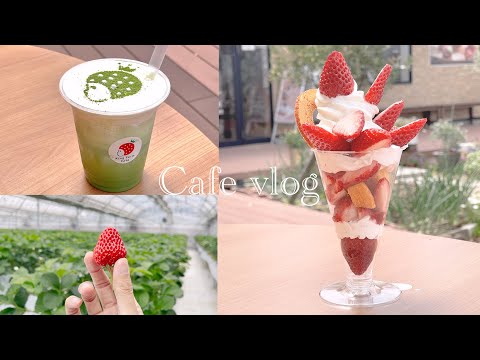 名古屋カフェVlog】いちご狩りもできておしゃれな「キングファーム