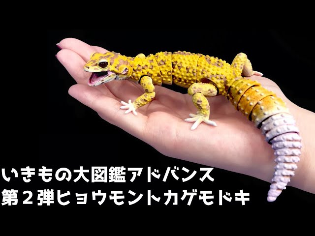 リアルすぎるレオパの可動式フィギュアが必ず当たるガチャを回してみた