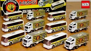 Finally, this time has come! After 18 years, the Hanshin Tigers