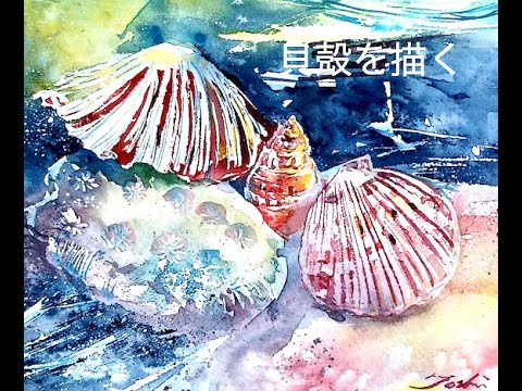 水彩画 貝殻を描く - YouTube