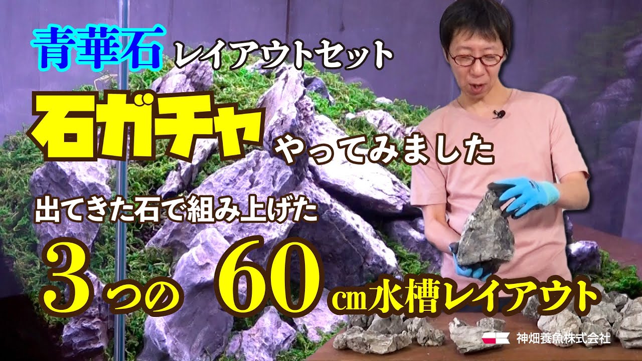 Aquatic Plant Tank] Stone layout pattern for a 60cm aquarium using