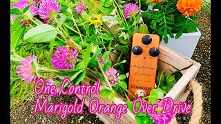 MARIGOLD ORANGE OVERDRIVE (OC-MOODn) – One Control USA