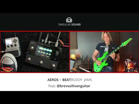 Singular Sound Aeros Loop Studio Stereo Looper Pedal | Sweetwater