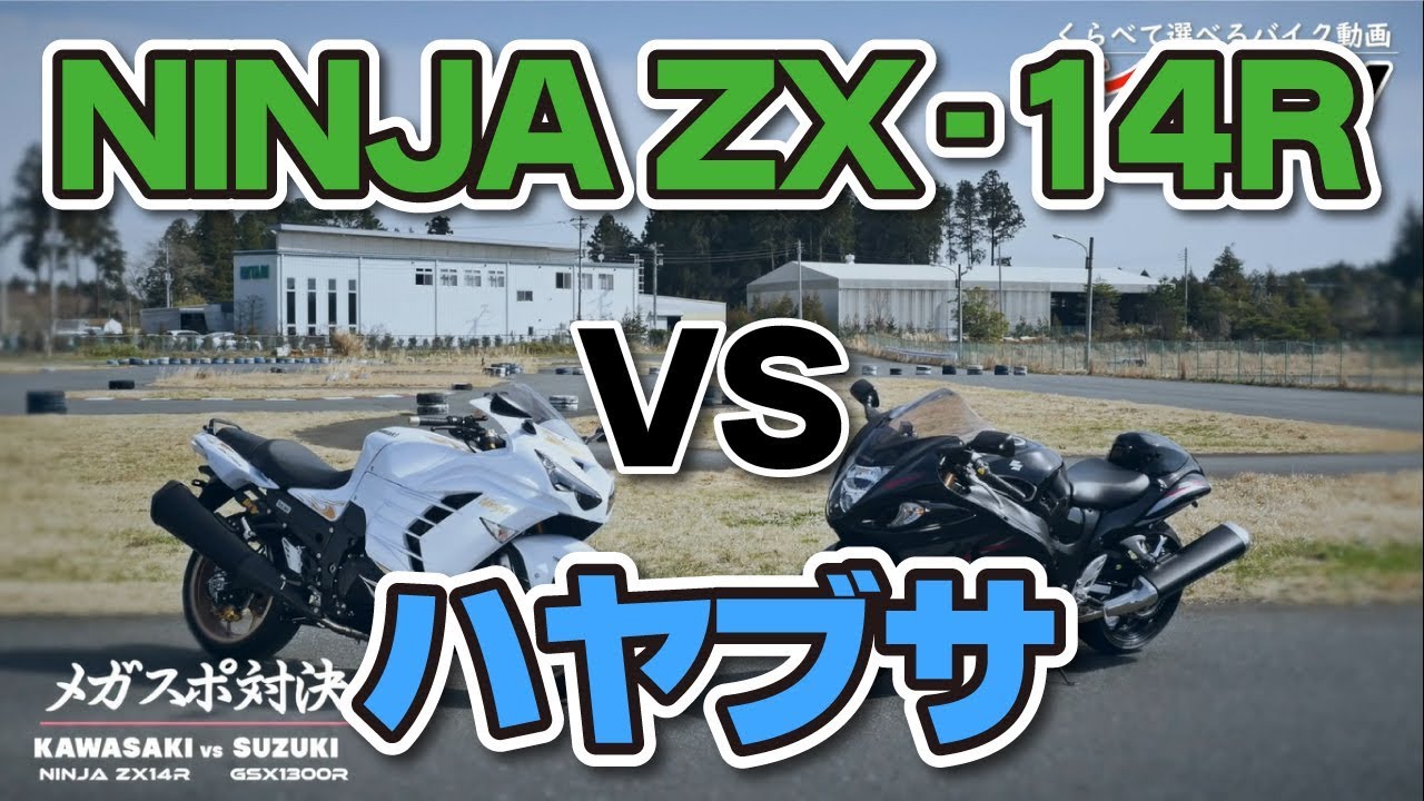 ハヤブサ(確認してください) hq720.jpg?sqp=-