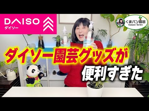 ダイソー園芸グッズが手放せない！検証：使い分けジョウロ - YouTube