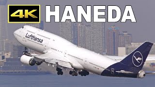 4K] Lufthansa Boeing 747-8 (New/Old/Retro Livery) at Tokyo Haneda