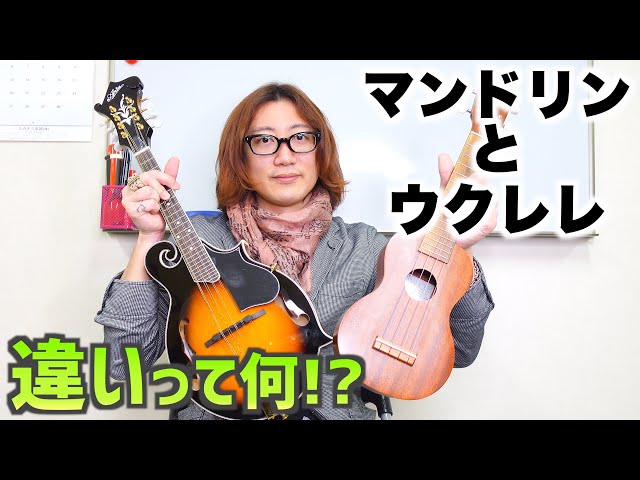 マンドリンとウクレレって違いって何!? - YouTube