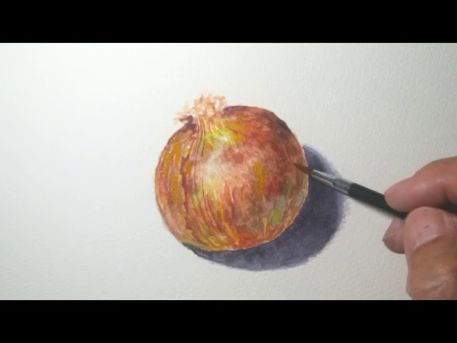 No68 玉ねぎを描く。水彩画。 - YouTube