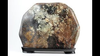 根尾谷産 菊花石 置石 2.5kg 【国産】｜天然石 原石 通販 キラリ石