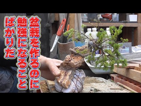There is so much to learn from creating a single bonsai! - YouTube