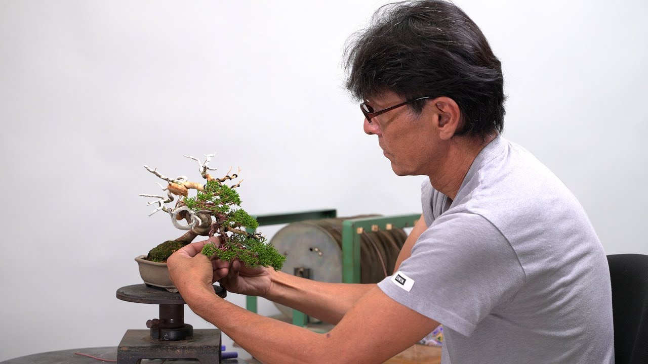 黒松根上がりを半懸崖へ - YouTube