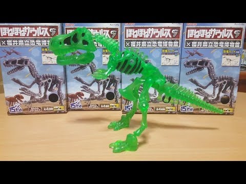 ほねほねザウルス 福井県立恐竜博物館 第二弾！四種一気に開封動画